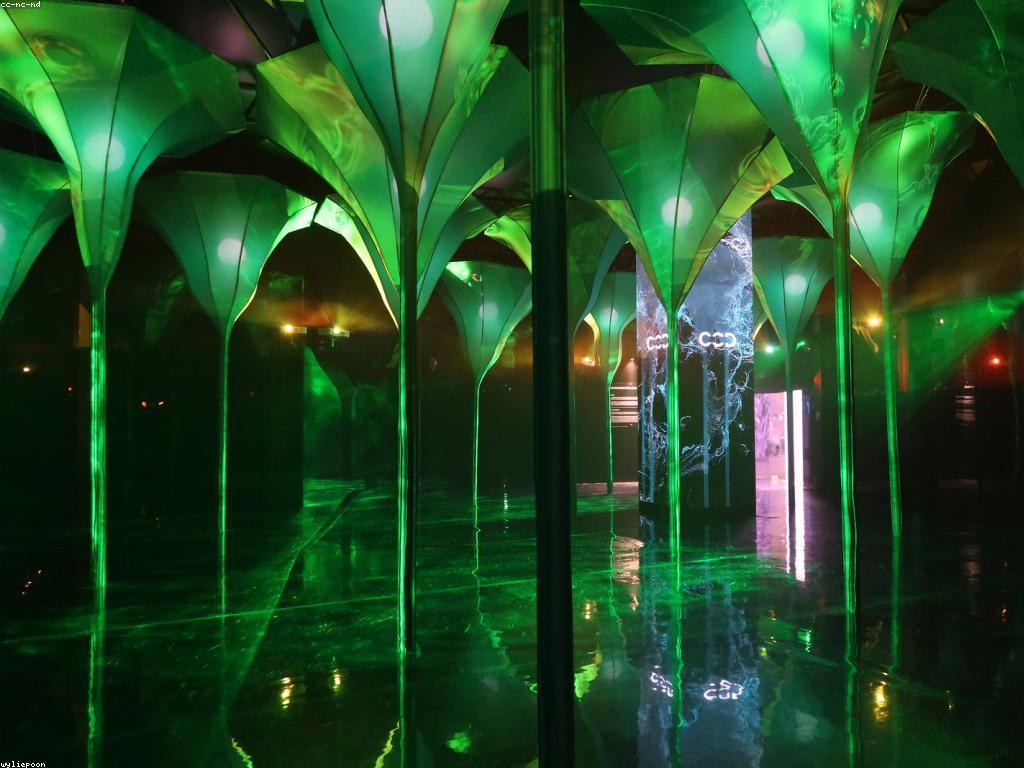 វិធីកាស៊ីណូងាយឈ្នះ៖ ការប្រើប្រាស់អត្ថប្រយោជន៍ពីស្ថិតិ