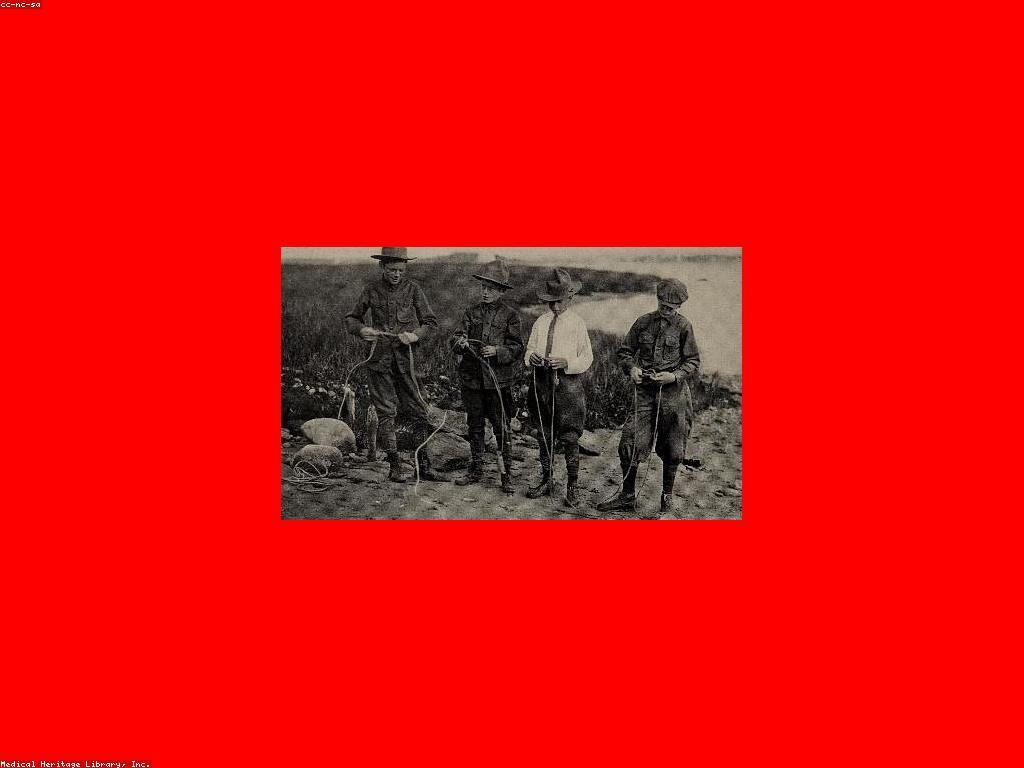 ផលប៉ះពាល់នៃការអាប់ដេតព័ត៌មានទាន់ដំណាក់កាល