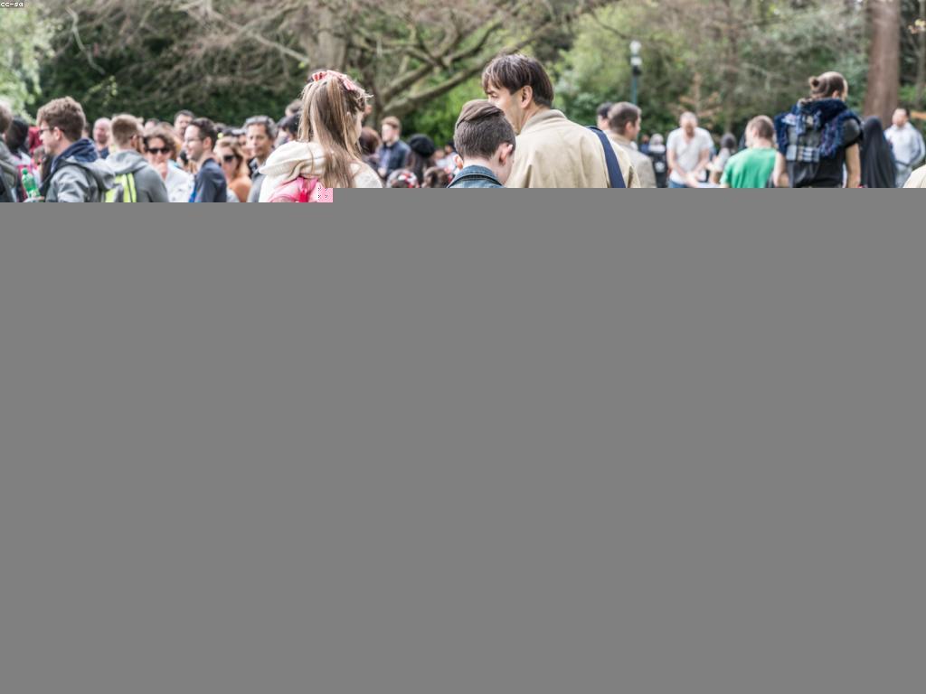 ការចែករំលែកបទពិសោធន៍ក្នុងវប្បធម៌