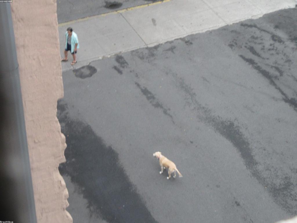 ការយល់ដឹងអំពីការពិពណ៌នាហ្គេម